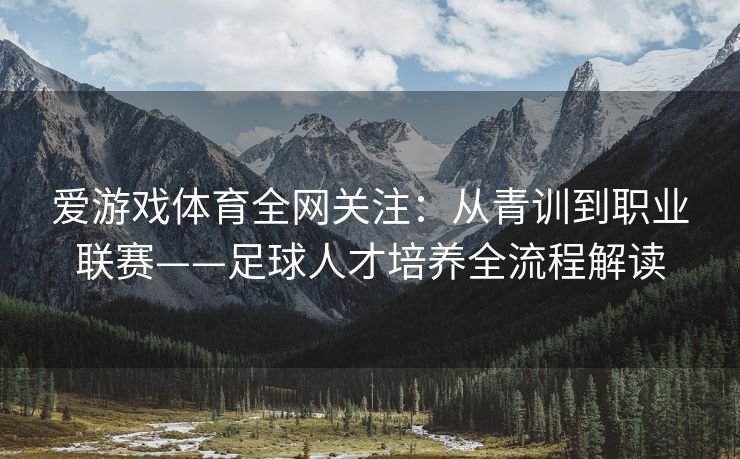 爱游戏体育全网关注：从青训到职业联赛——足球人才培养全流程解读